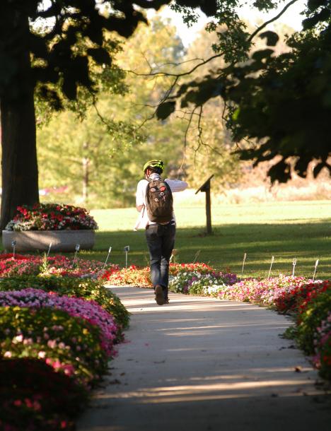 Kathryn Gelder, senior in LAS, walks toward her bike on a path from Japan House on Tuesday. Gelder´s Japanese Culture and Art class, which is held at Japan House, had just ended. Despite the garden still being in full bloom, today is the first day o Online Poster
