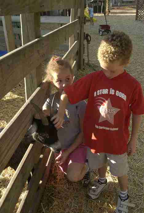 Eight-year-old twins Anna and Samuel Poindexter pet the Billy Goats at Curtis Orchard in Champaign Monday afternoon. Shira Weissman
