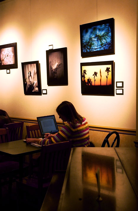 Laura Bunge, junior in business, studies for her Accountancy 304 class at the Green Street Coffeehouse, 608 E. Green St., on Monday afternoon. "I´m not looking forward to the week past Thanksgiving, (but I am) looking forward to Thanksgiving; I&amp;acut; Online Poster
