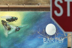 Barfly is one of several bars located in downtown Champaign. The city is no longer allowing the opening of new bars in the locale. Tim Eggerding
