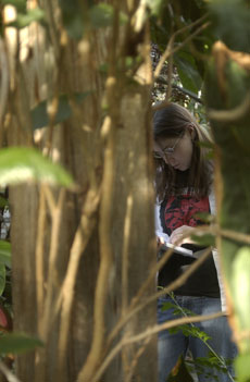 Erin Mann, sophomore in LAS, works on an assignment for her integrated biology class at the conservatory, 1201 S. Dorner, Tuesday. I like it, it´s nice and warm in here, she said. Troy Stanger
