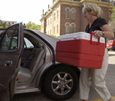 Judy Sehy of Champaign loads her car with meals for the Meals on Wheels program outside of the Illini Union on Tuesday morning. Sehy volunteers as a meal runner through her church, St. Matthew´s. John Loos
