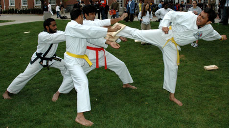 Graduate student Rama Vaidyanathan kicks through two wooden boards at a Tae Kwon Do fundraiser demonstration for LINK performed by the University Tae Kwon Do club outside of the Union on Thursday. LINK, an international charity organization that supports Vadim Olden
