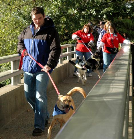Jason Smith of Urbana walks his dog, Griffon, at Crystal Lake Park in Urbana on Saturday as part of the Champaign County Humane Society´s Mutt Strut. Jamey Fenske
