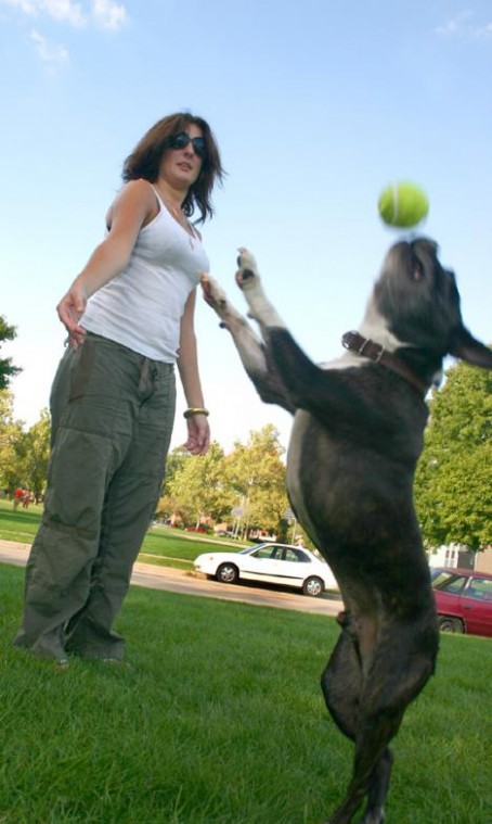 Mariana Toscas, senior in LAS, throws a tennis ball to Nyark, her 12-year-old Boston Terrier, Wednesday in Frat Park. "It´s beautiful out. He loves it," Toscas said. Regina Martinez
