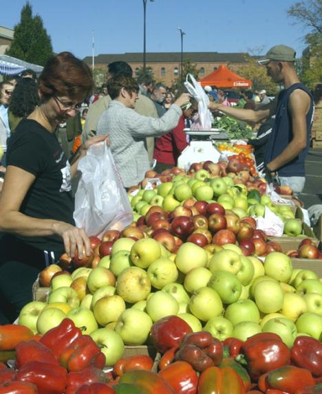 Diana Sheets of Champaign selects apples from a long line of fresh produce on Saturday morning at Urbana´s Market on the Square. Tessa Pelias
