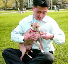 Davyd W. Chung Ph.D., CEO of the CiboReale Premium Dog Biscuit company, feeds Isabella one of the nutritious products. Isabella, an Italian greyhound, is known as the company mascot because CiboReale means royal food in Italian. The company is located i Suzanne Stelmasek
