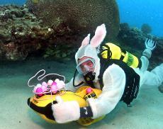 In this photo, provided by the Florida Keys News Bureau, Jason Schwenke glides above the sea floor in the Florida Keys National Marine Sanctuary off Key Largo, Fla., Friday, while hiding colored, hard-boiled eggs for an underwater Easter egg hunt. Schwenk Associated Press
