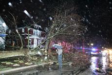A+tree+uprooted+from+the+sidewalk+at+the+600+block+of+Illinois+Street+during+the+storm+that+passed+through+Champaign-Urbana+on+Sunday+night.+Josh+Birnbaum%0A