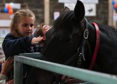 Six-year-old Alysa Hamilton pets Pat Olcott, a retired racing horse, during Petstravaganza at the Stock Pavilion on Saturday. Adam Babcock
