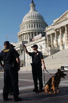 Police+gather+outside+the+Capitol+Building+Monday+after+a+man+compromised+building+security.+The+armed+man+was+successfully+caught+and+arrested.+The+Associated+Press%0A