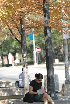 Grad student Carrie Dickison waits for a bus outside the Illini Union Bookstore on Tuesday afternoon. Dickison said that the warm October day was a welcome change from Seattle weather that she is used to. Suzanne Stelmasek The Daily Illini
