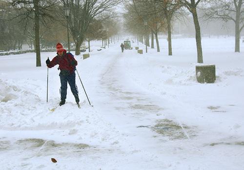 Tom Johnson, Professor of Biology, skis into work on the Quad, Tuesday, Feb. 13, 2007. ME Online
