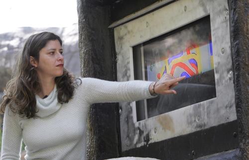 Tara Stoinski of Zoo Atlanta shows how color patterns are made on the touch screen monitor built into a tree-like structure in the habitat of orangutans at the Zoo as part of a research program Tuesday in Atlanta. The program uses computer games to study The Associated Press
