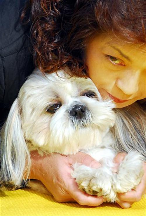 A dog lover Kazuko Takesaki holds her pet dog, Moko, as she helps Moko do some Doga exercise at a department store in Tokyo, in this Tuesday, Jan. 3, 2005 file photo. Toyama-based maker has developed a small patch that can measure the stress level of dogs The Associated Press
