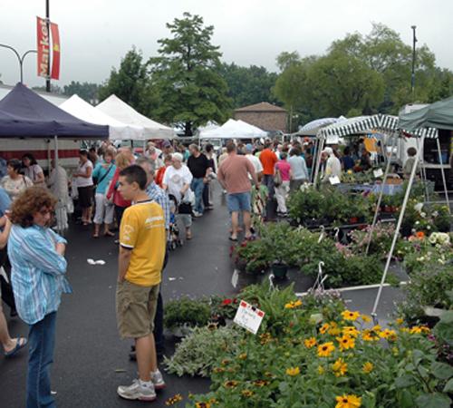 Local residents attend the Market at the Square in Urbana on June 23, 2007. Steve Contorno
