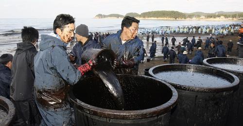 Local residents dump dense crude oil retrieved from a beach into a big jar in Mallipo, South Korea, Sunday. The oil slick, which resulted from an accident between a barge and a supertanker Friday, began hitting the shore early Saturday, coming in waves of Bak Sung-ryul, The Associated Press
