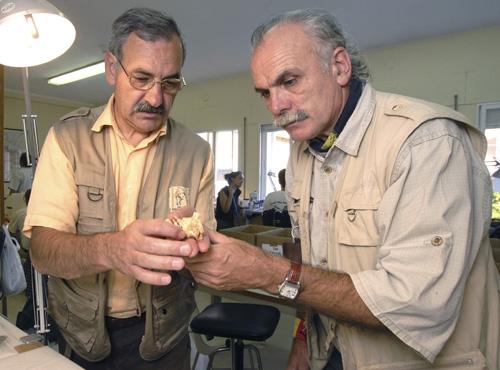 Archeologists Jose Maria Bermudez, left, and Eudald Carbonell, right, hold a small piece of jawbone unearthed in Spain. Jordi Mestre, The Associated Press
