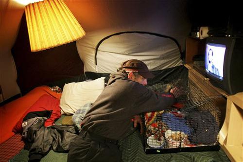 Dave Csaky checks on his pet squirrel, "Tilt," in the Eastlake Neighborhood of Seattle on Jan. 10, in a treehouse he has called home for almost two years. A little more than a week ago, city workers arrived unannounced and put pink-ribboned survey stakes Joshua Trujillo, The Associated Press
