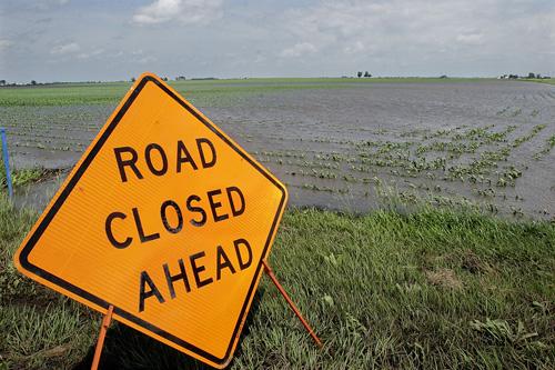 A cornfield is flooded at Lake Decatur in Decatur, Ill., Thursday following powerful thunderstorms that spawned at least two tornadoes in Illinois this week. Continued storms could pose a threat for farmers. Susan Kantor
