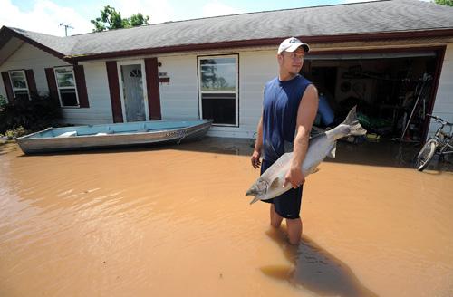 David Shepard removes a stuffed king salmon from his flooded home on Sunday in Edinburgh, Ind. As much as 11 inches of rain swamped the state Saturday. Matt Kryger, The Associated Press
