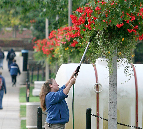 Linda Black, a University grounds worker, waters flowers along the Quad on Tuesday morning. Erica Magda
