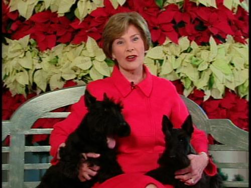 This video image provided by the White House shows first lady Laura Bush with Barney and Miss Beazley appearing in the Barney Cam holiday doggie video. The Associated Press
