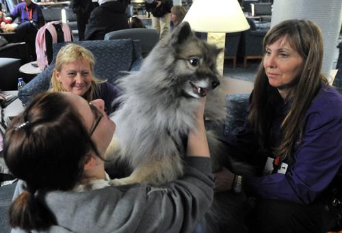 Karen Macella, left, senior in LAS at Northern Illinois University, and Cindy Ehlers, from Eugene, Ore., play with Tikva, a Keeshond. Tikva is one of several dogs brought to the Northern Illinois memorials. Erica Magda

