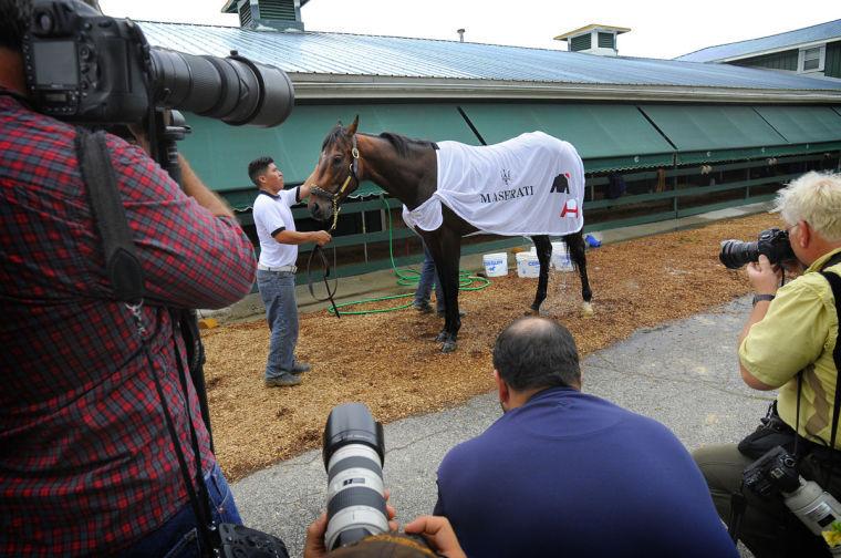 Kentucky Derby winner Orb is taken away after his morning bath at Pimlico Race Course in Baltimore, Maryland, Thursday, May 16, 2013. The 138th running of the Preakness Stakes is Saturday. (Lloyd Fox/Baltimore Sun/MCT)