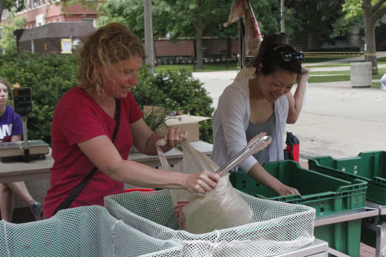Stephanie Ceman of Champaign, left, and Mari Kim of Urbana shop for produce sold by the Student Sustainable Farm on the Main Quad on Thursday.