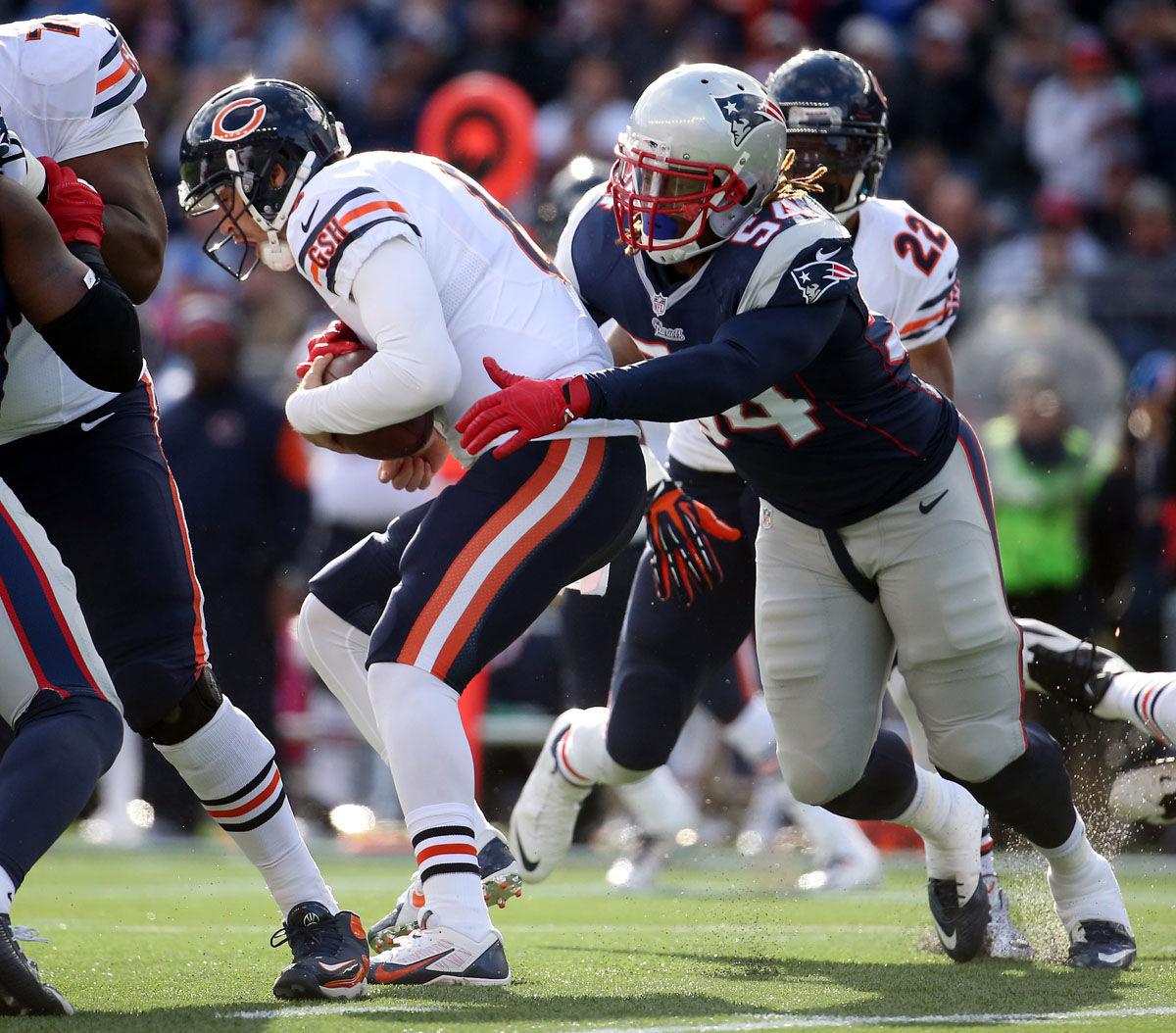 Cutler, Bears, wasting fans time and money The Daily Illini