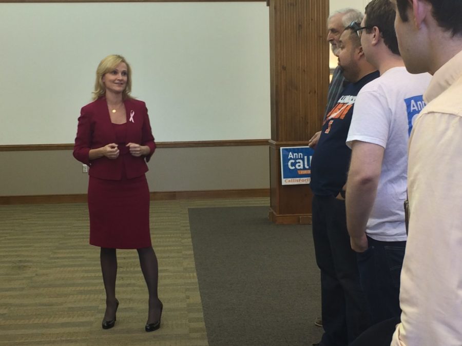 Ann Callis, Democratic congressional candiate for the 13th District, spoke to student supporters at a rally in the Illini Union Sunday on how to encourage people to vote in the upcoming Nov. 4 Midterm elections. 