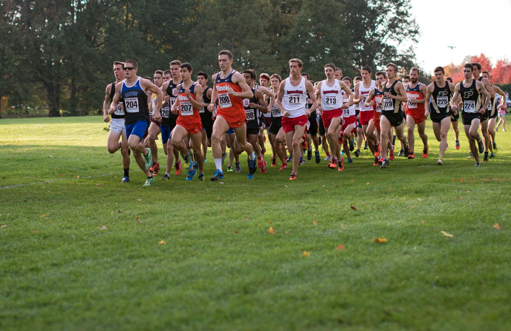 illinois state cross country meet