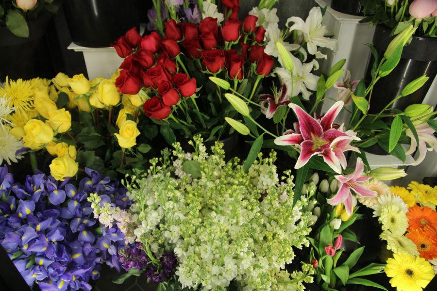 Even on the Wednesday before, buckets of flowers for the upcoming Valentines Day arrangements filled Campus Florist, located at 609 E. Green St. in Champaign.