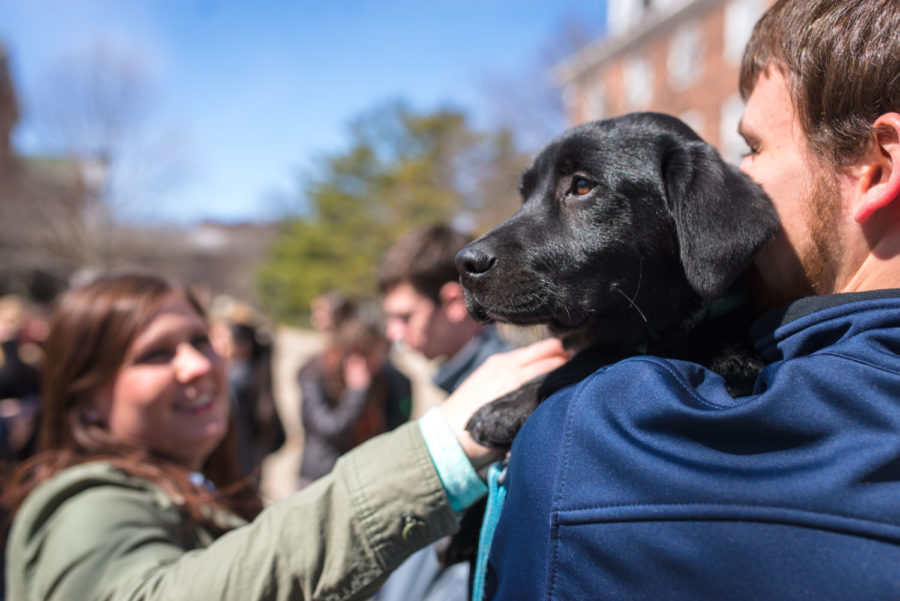 Huff, perched upon a Illini Service Dogs worker, enjoys the view during the Pat-the-Pup event hosted by the Illini Service Dogs at the Main Quad on March 17.