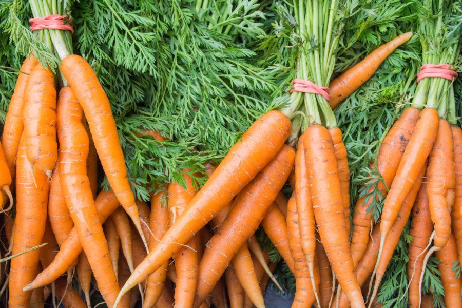 Carrots were one of the many varieties of produce available for pick-up from Sola Gratia, an Urbana community-based farm enterprise, on Thursday, June 25.