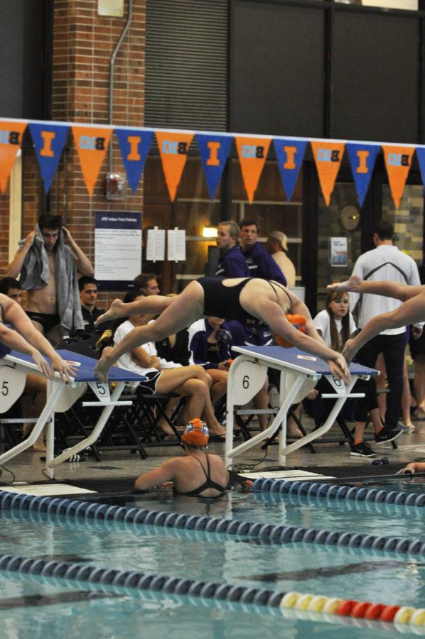 Amelia Schilling, junior, dives off the block for the 500 yard freestyle at the Fighting Illini Dual Meet Spectacular in the ARC Pool on October 16, 2015.