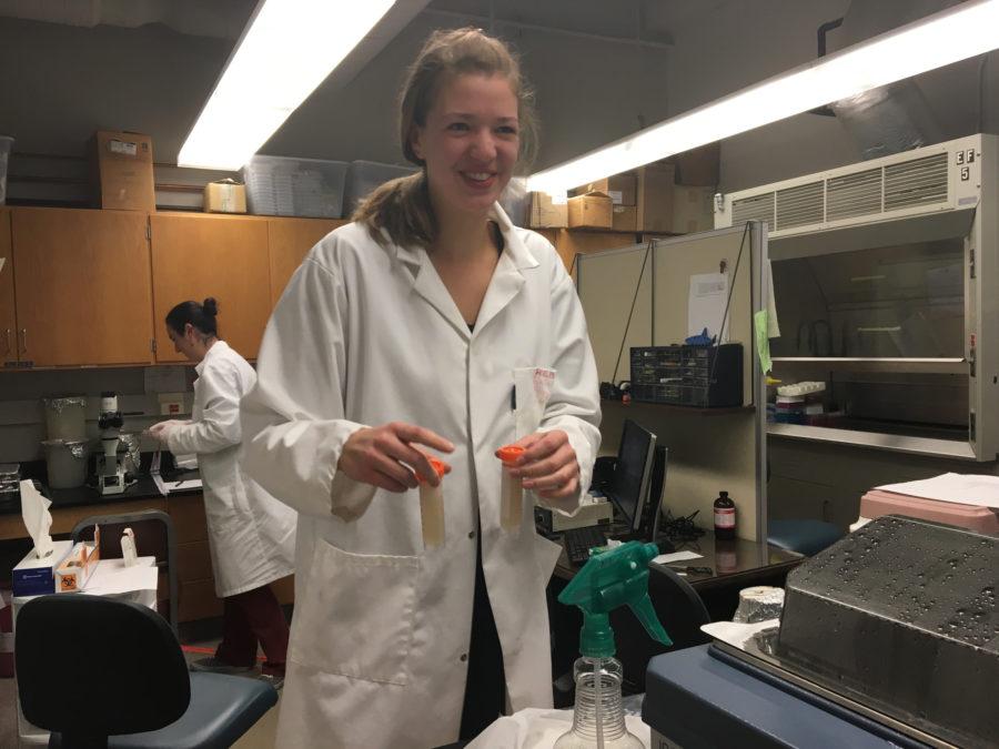 Kathryn Polkoff, a graduate student in Animal Sciences, conducts research in the Animal Sciences Lab. 