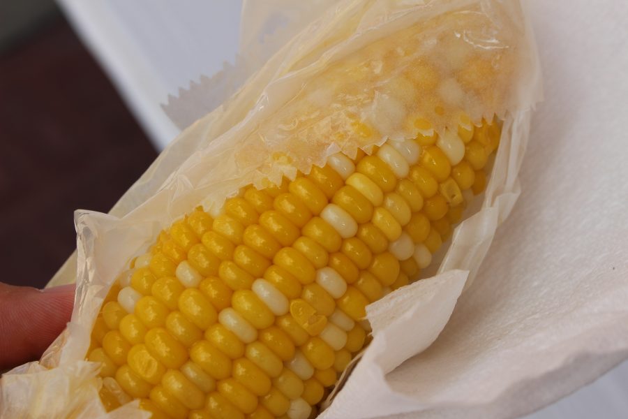 A corn on the cob is unwrapped ready to be eaten at the Urbana Sweetcorn Festival in downtown Urbana on Saturday, Aug. 27