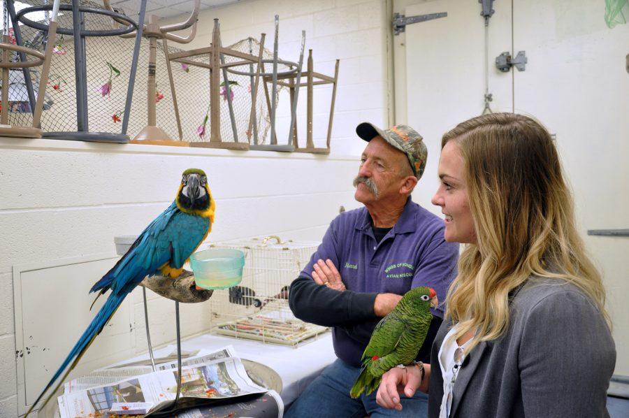 Amanda Radek and Richard Hungerford, members of Wings of Wonder Aviation Rescue, look at one the parrots at the Vet Med Open House at the Vet Med Building on October 4, 2015.