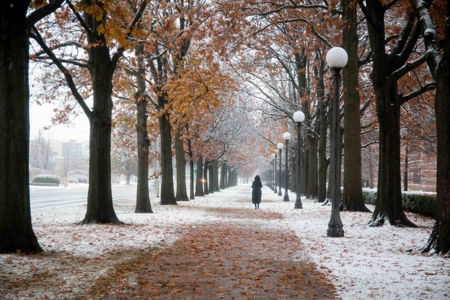 A photo of a women walking down the sidewalk on University Avenue north of Beckman Institute on December 4.
