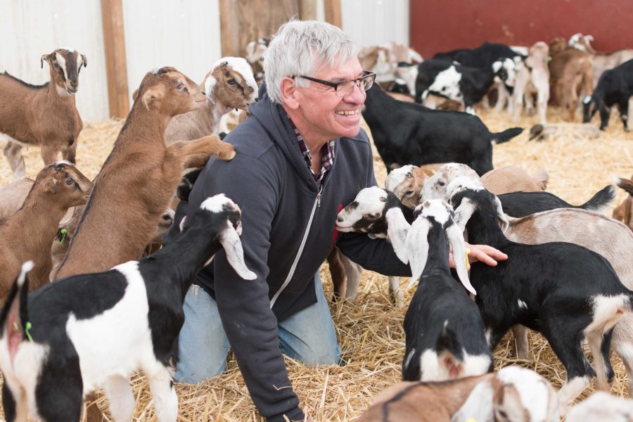 Wes Jarrell, co-founder of Prairie Fruits Farm & Creamery, plays with goats while interviewing on Saturday. Jarrell and co-founder Leslie Cooperband moved from Madison, Wis. to run the farm. 