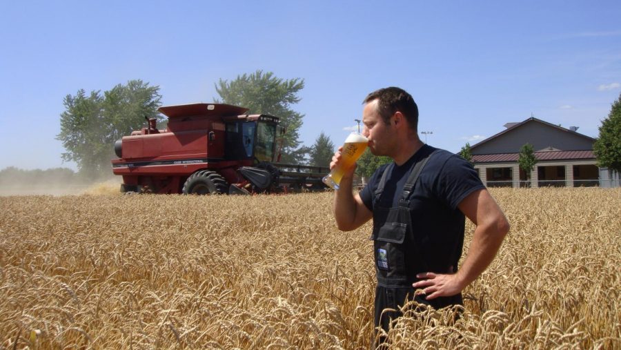 Matt Riggs holds an American Lager while standing in a field. The Riggs Beer Company in Urbana, IL is making the final steps to becoming a solar powered brewery. 