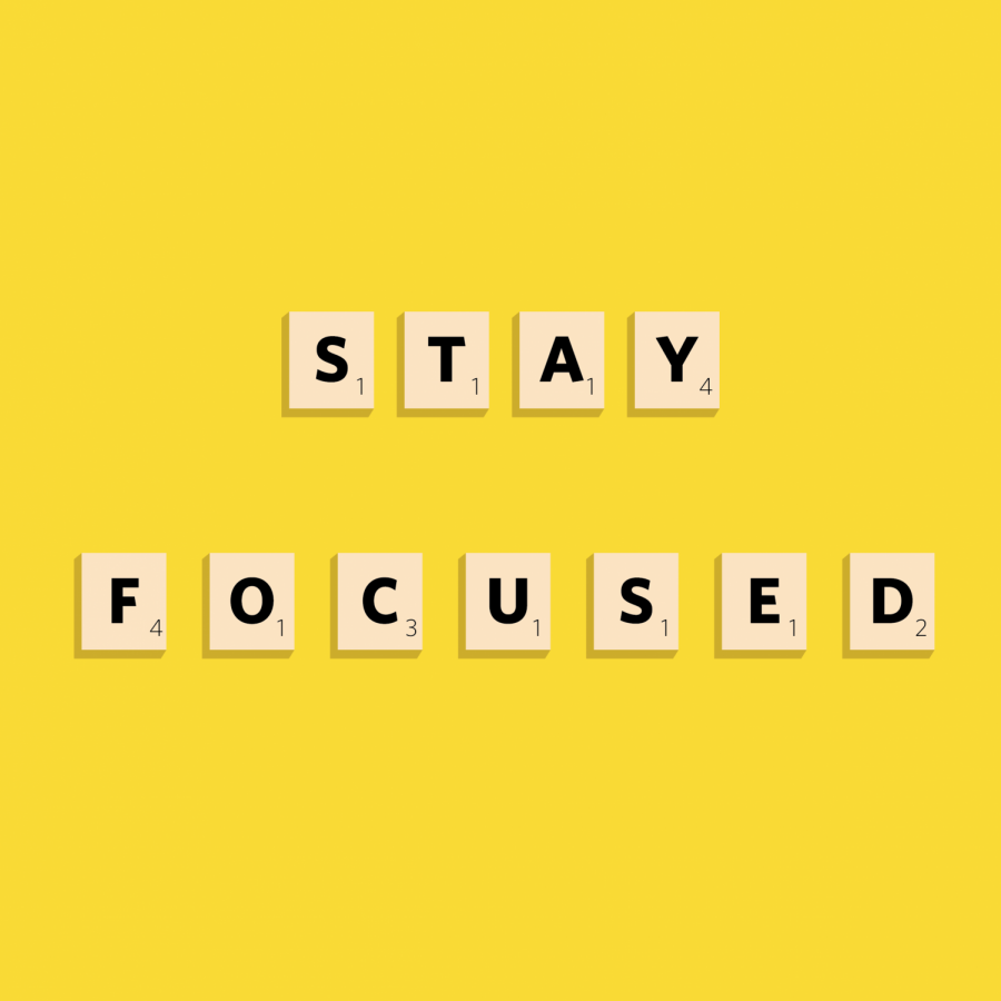 Stay focused despite criticism