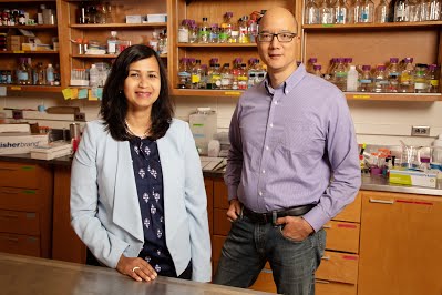 In a new University study, comparative biosciences professor Aditi Das and veterinary clinical medicine professor Timothy Fan discovered metabolized omega-3 fatty acids may stop cancer growth. 