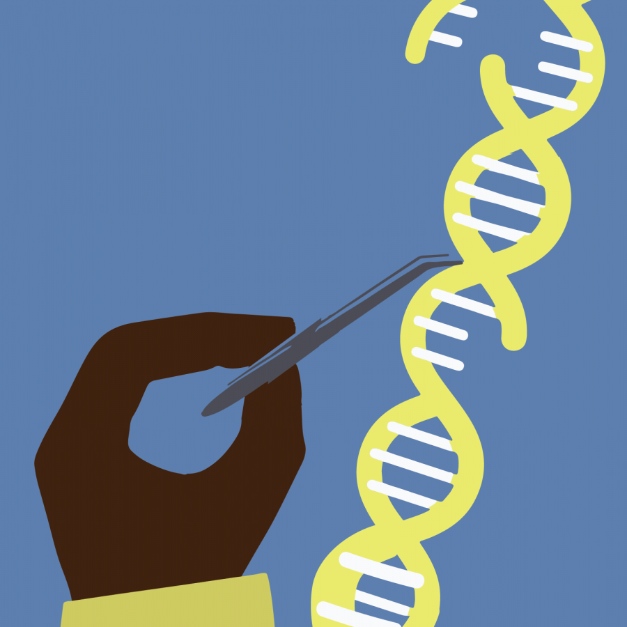 A CRISPR approach to gene editing