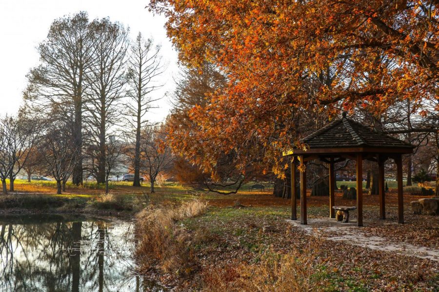 Arboretum at sunset on Friday. The climate change report, co-authored by University
researchers, is encouraging local efforts to battle the effects of climate change. The report warns on the dangers of climate change.