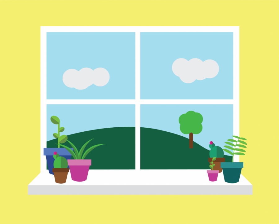 Find+out+what+houseplant+fits+your+needs+best