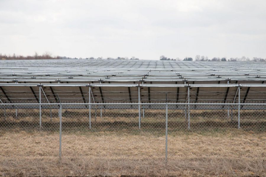 The University Solar Farm covers 20.8 acres and is located along the south side of Windsor Road between First Street and the railroad tracks.