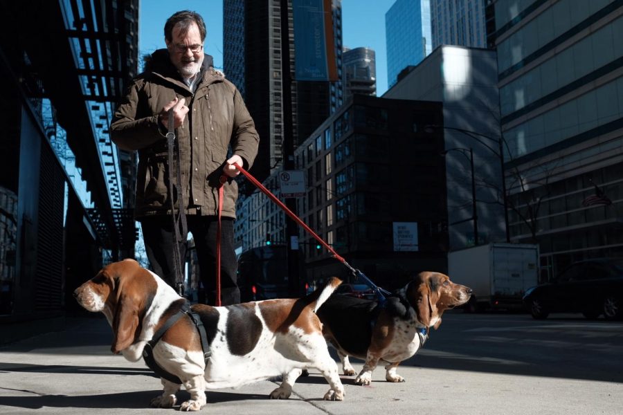 Bob Wootton steps outside of Krisers Natural Pet located at 356 E. Ohio St., with his dogs Ducky (left) and Bertie on Friday.